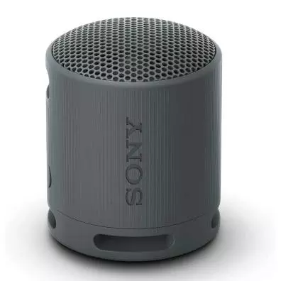 Sony SRSXB100B